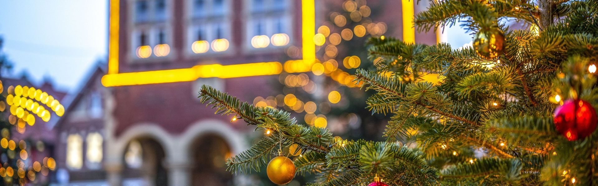 Stadt Meppen - Weihnachtsbaum Rathaus